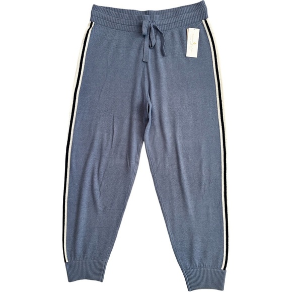 Spiritual Gangster Pants - Spiritual Gangster NWT Luxe Knit Jogger Blue Size L